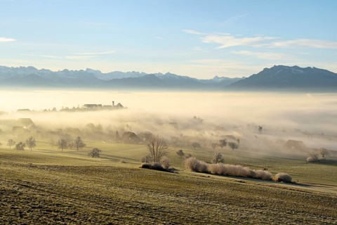 Foggy atmosphere