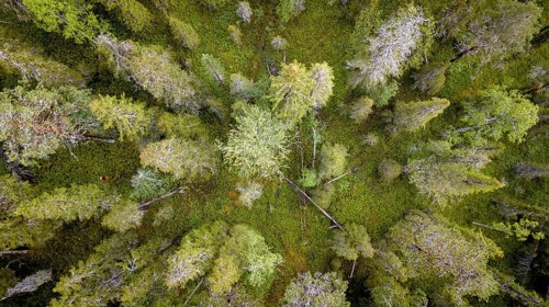 Drone shot