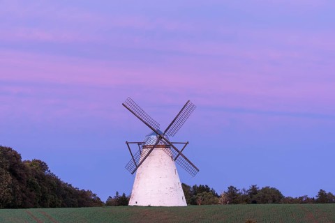 Dutch windmill in evening light