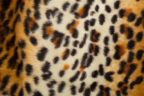 Leopard skin