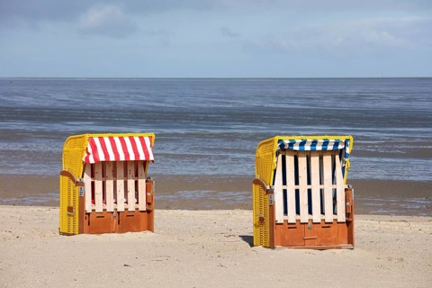 Empty beach chairs