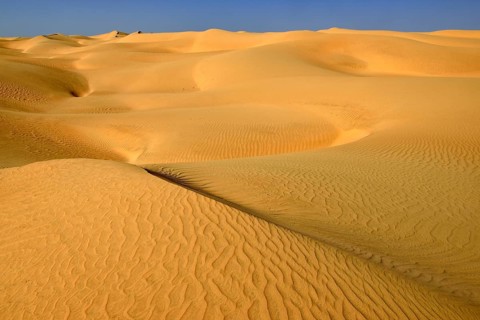Sanddunes of Al Khaluf desert