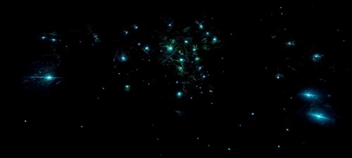 Bioluminescence