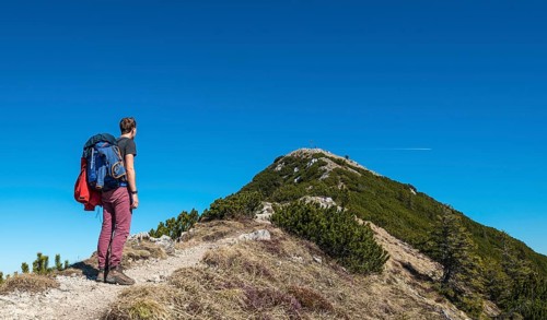 Hiker on ridge