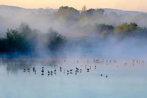 Fog in the sunrise