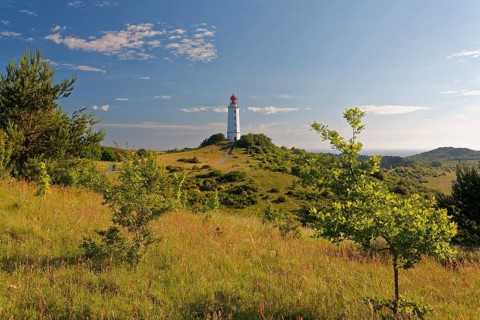 Lighthouse Dornbush on the Schluckwieksberg