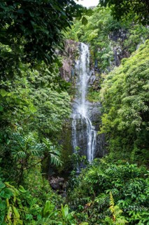 Makahiku falls in green vegetation