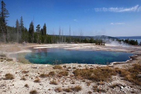 Abyss Pool