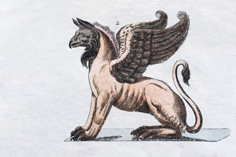 Griffin