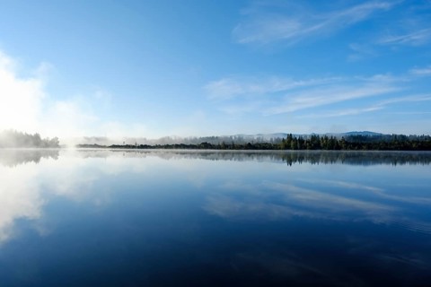 Morgennebel