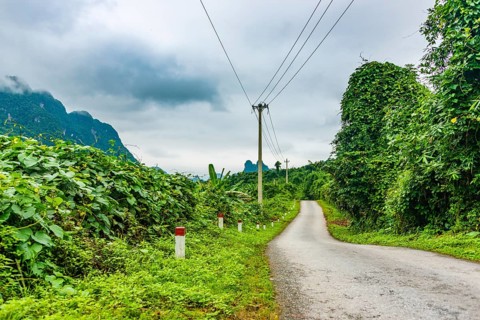 Small road through rainforest