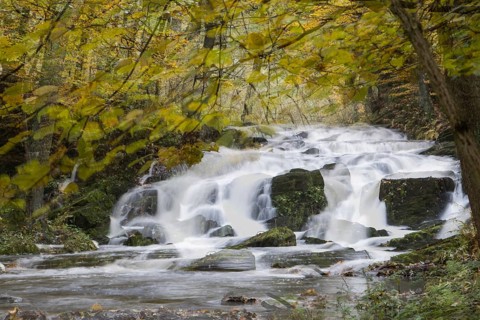 Selke Waterfall