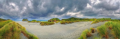 Sandy beach with grassy dunes