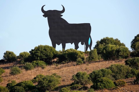 Black silhouette of a bull