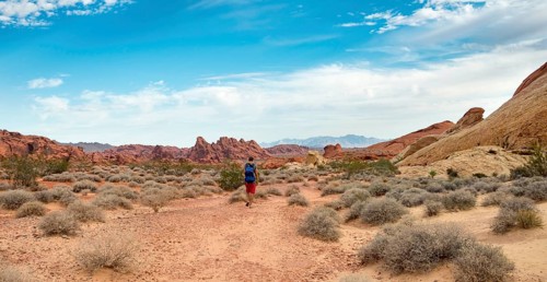 Young male hiker on White Dome Trail