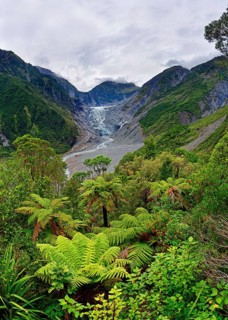 Fox Glacier and Fox River