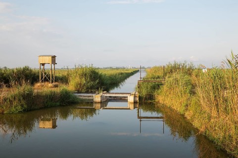 Typical landscape of the Ebro Delta with canals