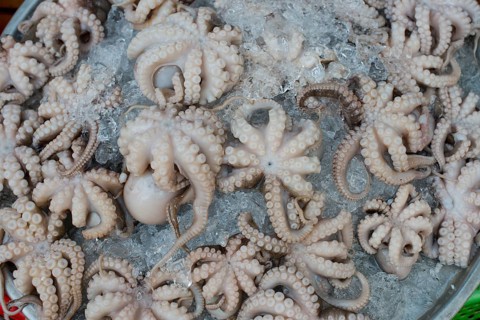 Octopus on ice at a street market