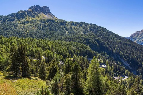 Maloja Pass