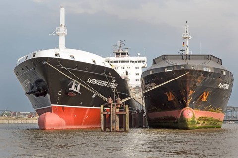 Ships riding at anchor in the harbor in the Norderelbe