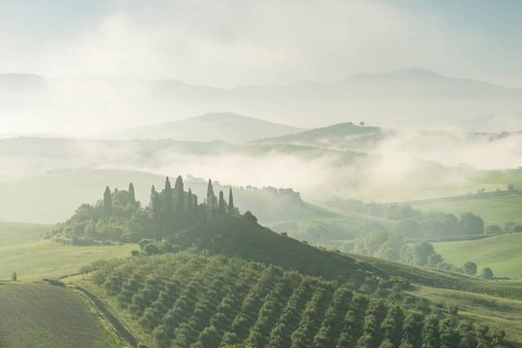 Podere Belvedere