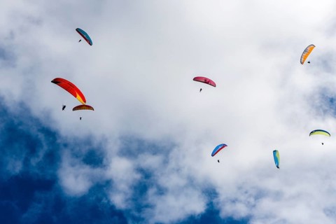 Many paragliders are flying in the air