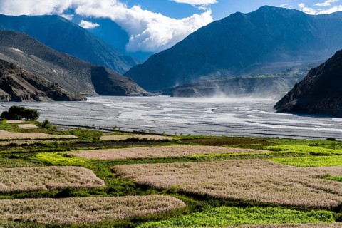 View of agricultural landscape