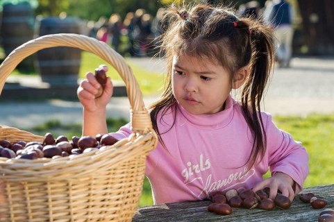 Eurasian girl sitting at wooden table with basket of chestnuts