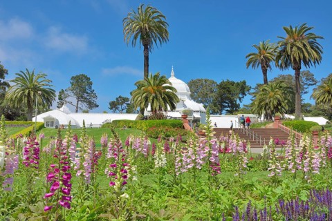 Flowerbed