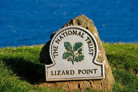 Lizard Point
