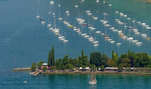 Sailboats in marina