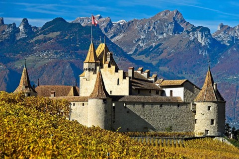 Wine Museum Aigle Castle
