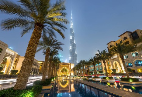 Palm trees and fountains