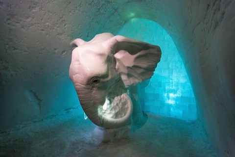 Elephant made of ice