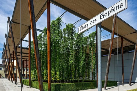 German hop museum