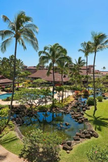 Hotel resort with pool and palm trees