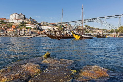Rabelo boats