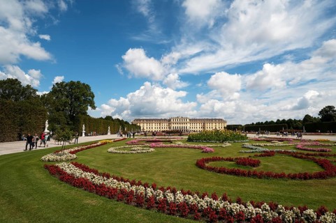 Flower bed in park