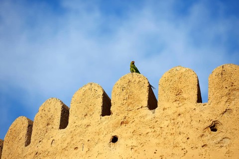 Khasab Castle