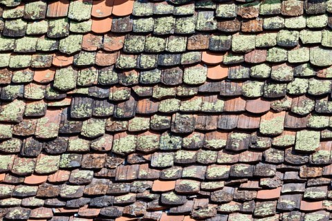 Mossy roof tiles