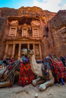 Dromedaries in front of the Pharaoh's treasure house carved out of rock