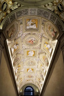 Vaulted ceiling