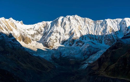 View of the snow covered Annapurna 1 North Face at sunrise