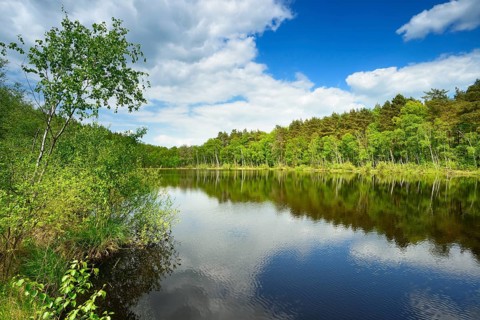 Wienpietschseen