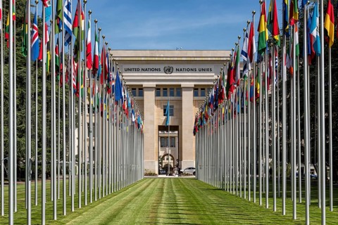 Flags in front of the Palace of Nations