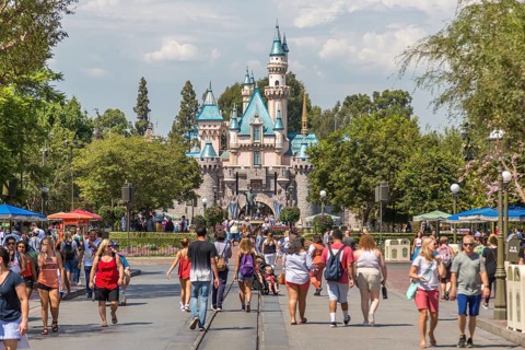 Sleeping Beauty Castle