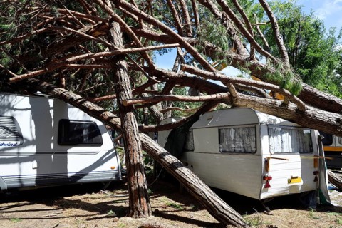 Fallen trees lying on caravans