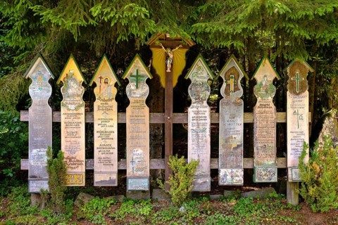 Dead Boards near Arnbruck in Lower Bavaria