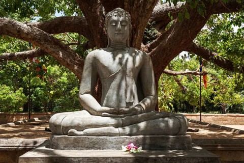 Buddha statue