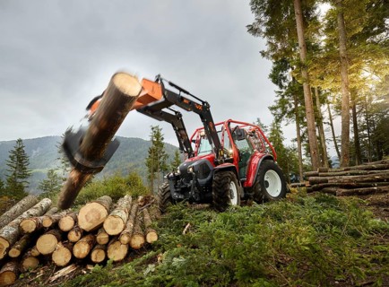 Forestry work